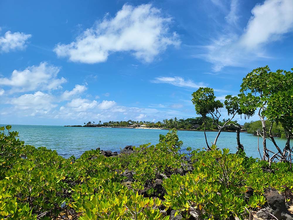 Préparer son voyage à l'Île Maurice, comment s'organiser ?