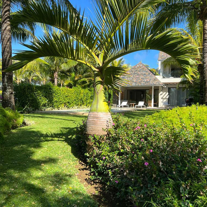 Villa Coconut Groove