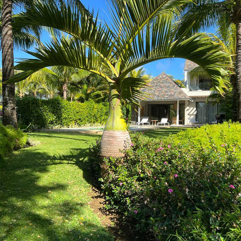 Villa Coconut Groove