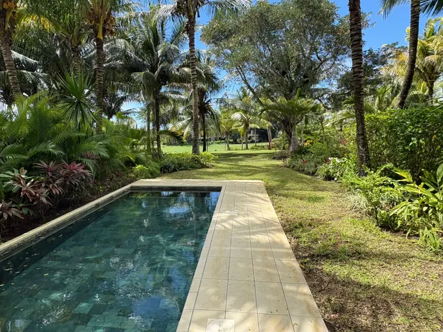 Villa Tiare — Pool and palm-lined garden